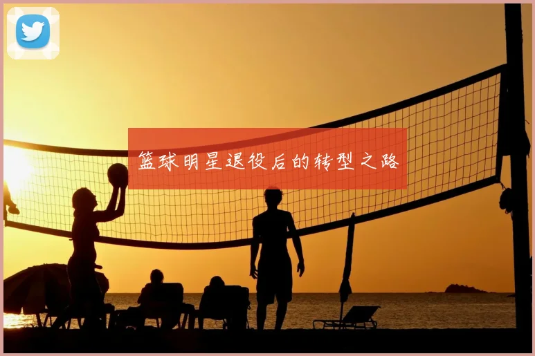 篮球明星退役后的转型之路