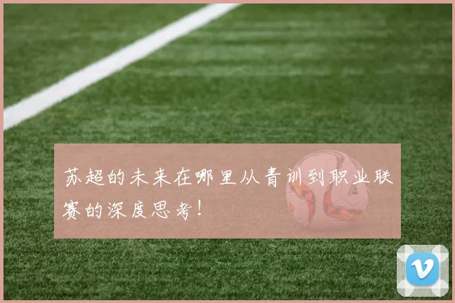 苏超的未来在哪里从青训到职业联赛的深度思考！