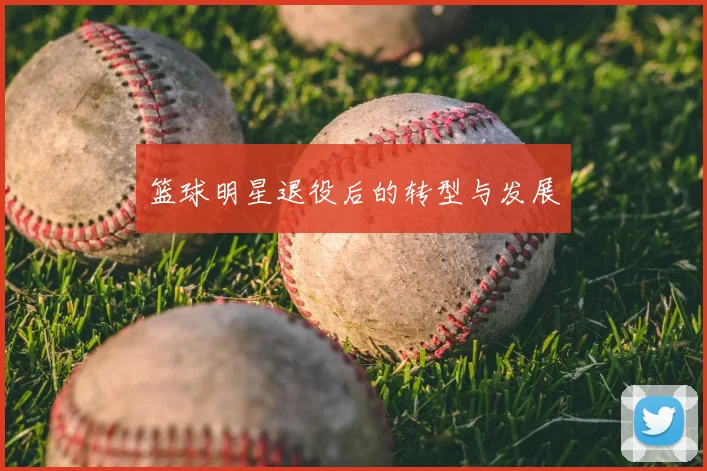 篮球明星退役后的转型与发展